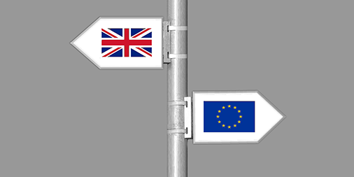 Brexit Flags