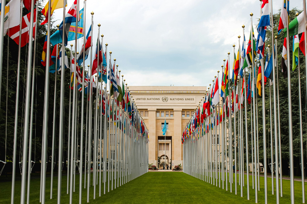 outside corridor leading to the front door of the UN, with country flags lining both sides of the walkway